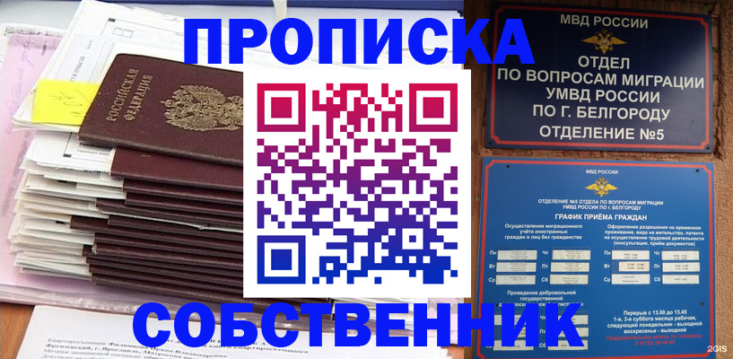 прописка законно в Полярных Зорях